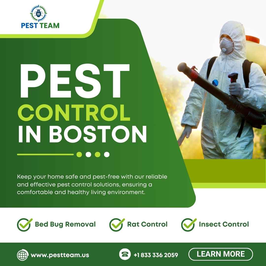 Pest Control In Boston